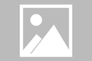 kaiyun-解放者杯比赛前瞻：巴西国际vs弗拉门戈预测分析(2025年08月21日)